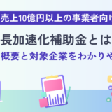 成長加速化補助金とは？2次公募の概要と対象企業をわかりやすく解説【売上10億円以上向け】